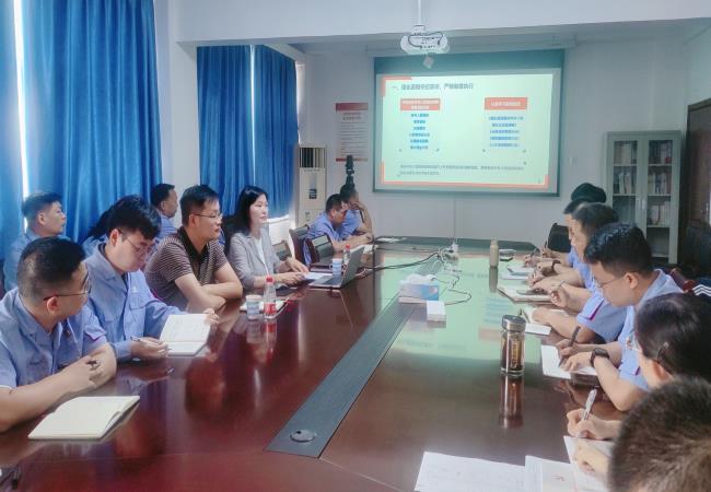 軸研所黨委副書記、紀(jì)委書記江瑋到銷售公司調(diào)研并講授黨紀(jì)專題黨課